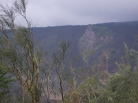 nte Rinatu-20110615 063